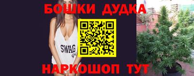 герыч Кингисепп