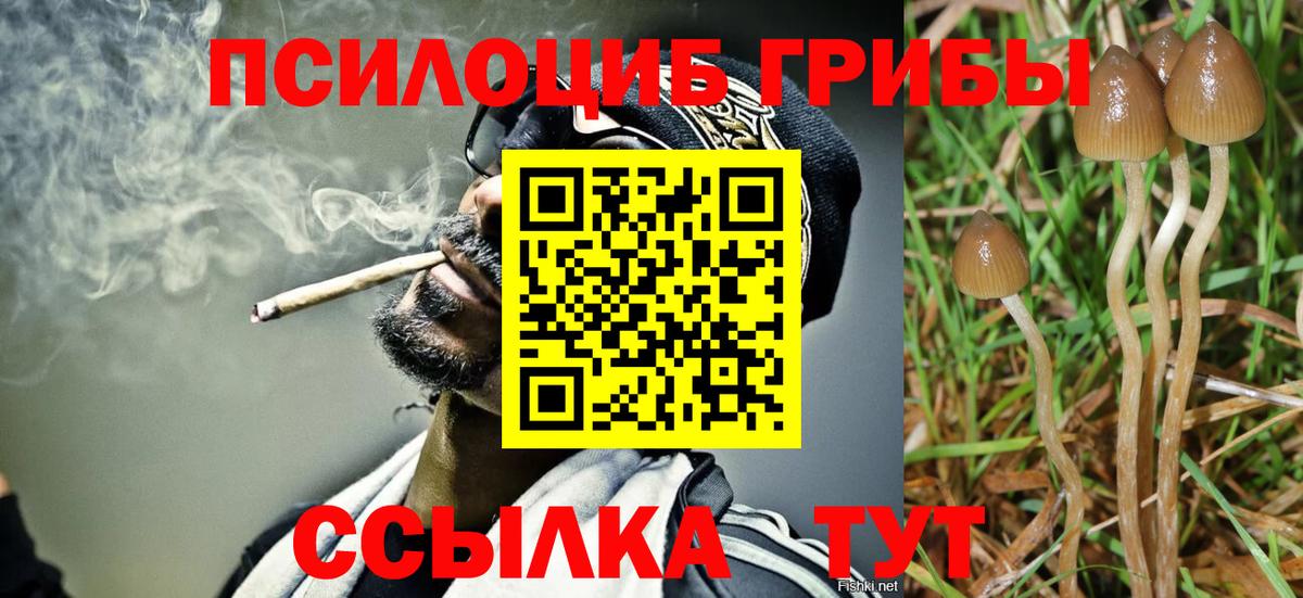 Галлюциногенные грибы ЛСД  Галлюциногенные грибы GOLDEN TEACHER  Вход с VPN  Салават 