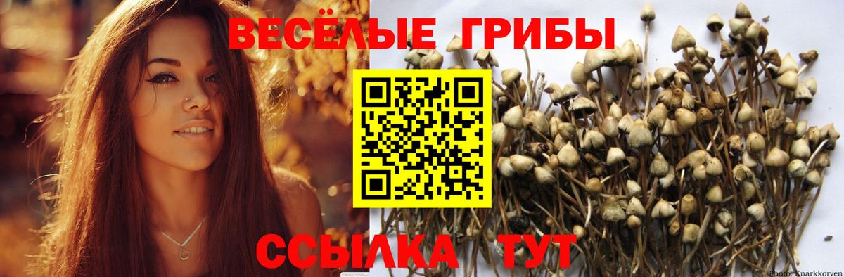 Псилоцибиновые грибы прущие грибы Салават